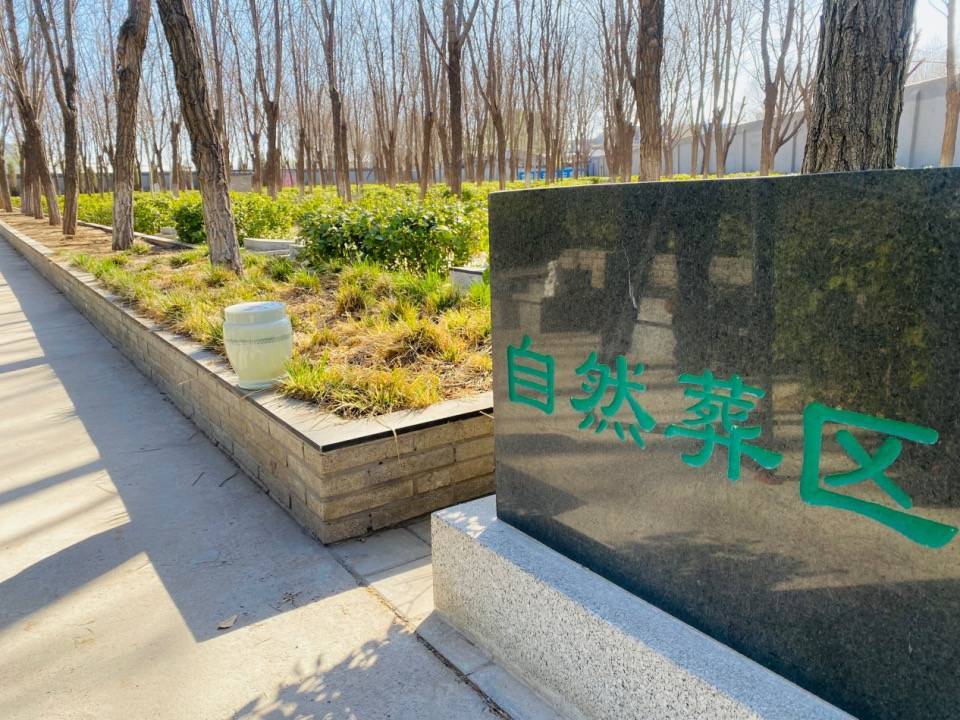 🌸趣头条【2024澳门特马今晚开奖】-青海首个节地生态公益性公墓开园